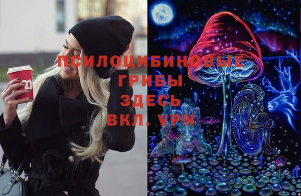 крисы Арсеньев