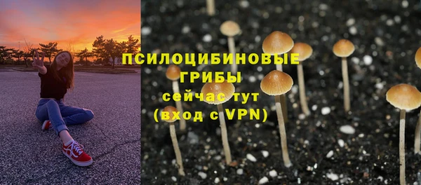 твердый Армянск