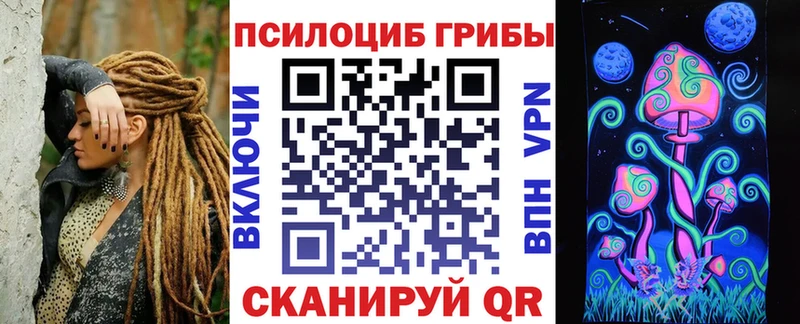 Галлюциногенные грибы Psilocybine cubensis  Щёкино 