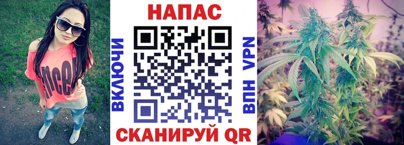 МАРИХУАНА семена  купить наркотик  ссылка на мегу tor  Щёкино 